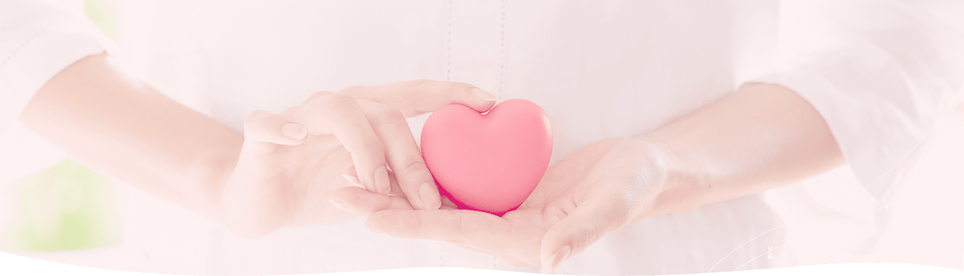 法人概要 | 音楽療法の資格取得指南をはじめ、多岐にわたる活動を行っております