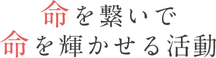 音楽療法の資格取得指南をはじめ、多岐にわたる活動を行っております